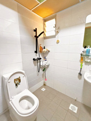 Blk 117A Tenteram Peak (Toa Payoh), HDB 4 Rooms #583993401